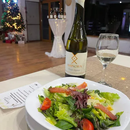 радецки град козлодуй Otel Kozloduy